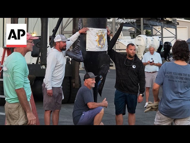 Man catches 1,260-pound blue marlin believed to be East Coast's largest catch