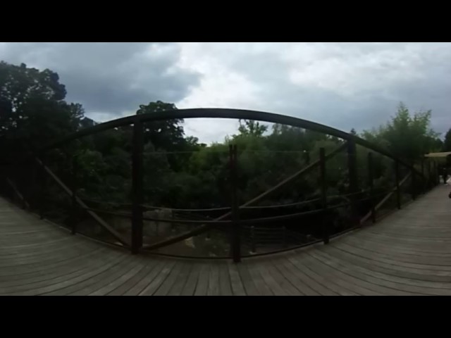 DC 360: Elephant Bridge at Smithsonian's National Zoo