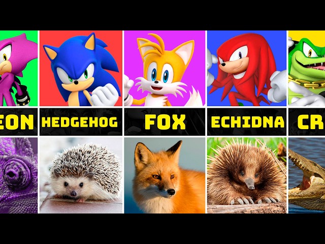The Real Animals That Inspired Sonic the Hedgehog