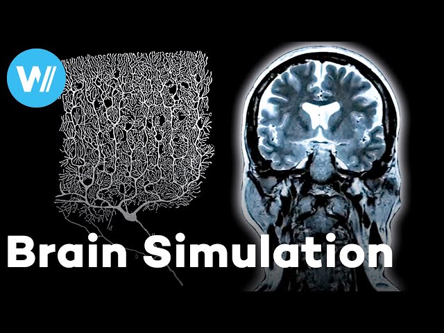 Mapping the Human Brain: Can Machines digitize the Mind? | In Silico (Documentary, 2020)