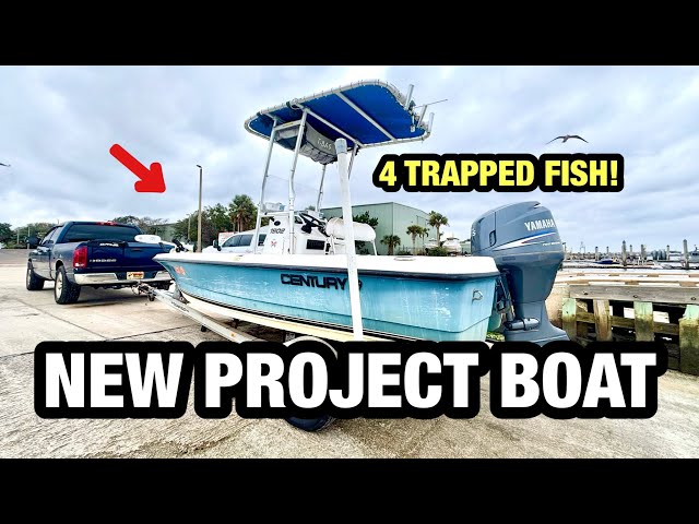 I PAID $3300 TO SAVE 4 TRAPPED FISH - (new project boat)