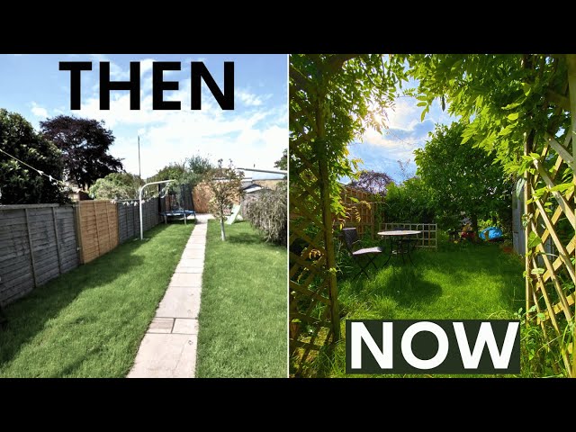 I'm Rewilding My Lifeless Garden - here's how