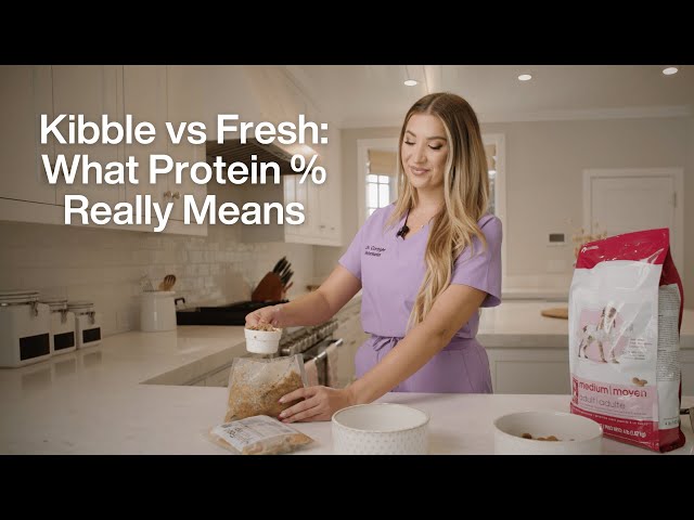 Kibble vs Fresh: What Protein % Really Means | JustFoodForDogs