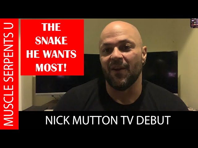 NICK MUTTON on AUSTRALIAN PYTHONS & SNAKE GENETICS