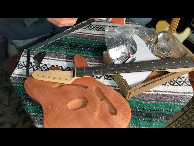 Fesley (DIY Kit Guitar) Deluxe Edition - A closer look