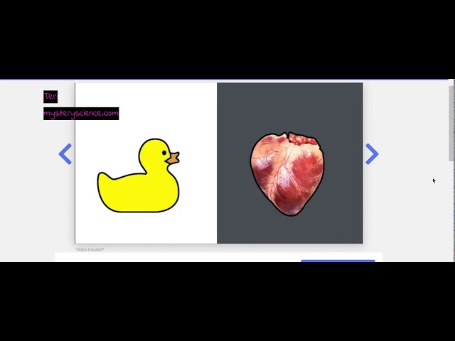 Videos to help at home learning during the virus outbreak, #englishhelp #ELL #kidsgrammar