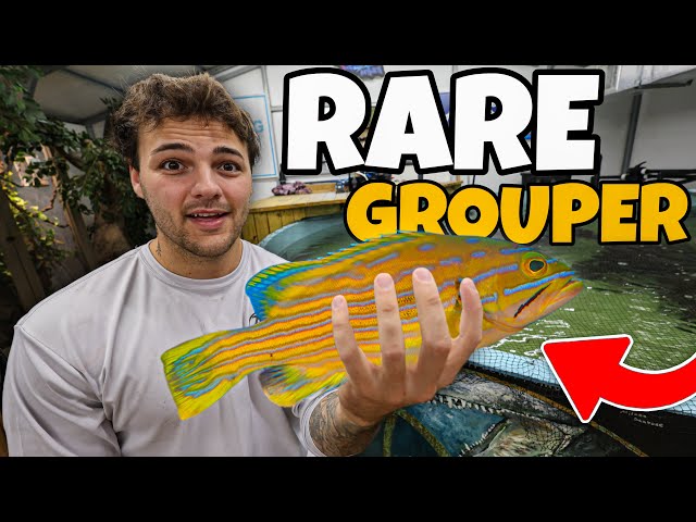 FISH SHOPPING for My BackYard PONDS!!