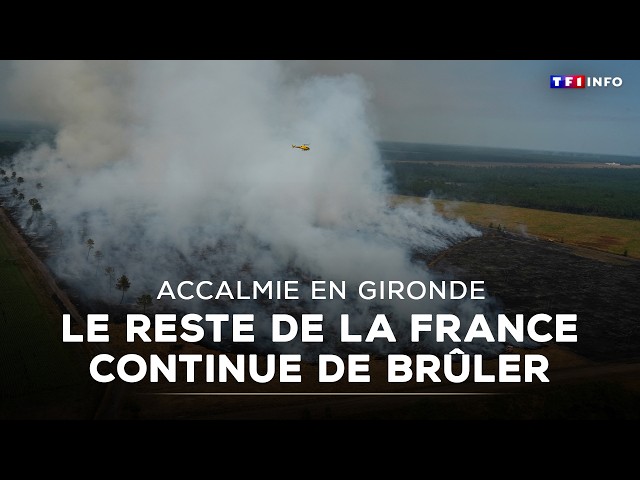 Lull in Gironde: the rest of France continues to burn｜TF1 INFO