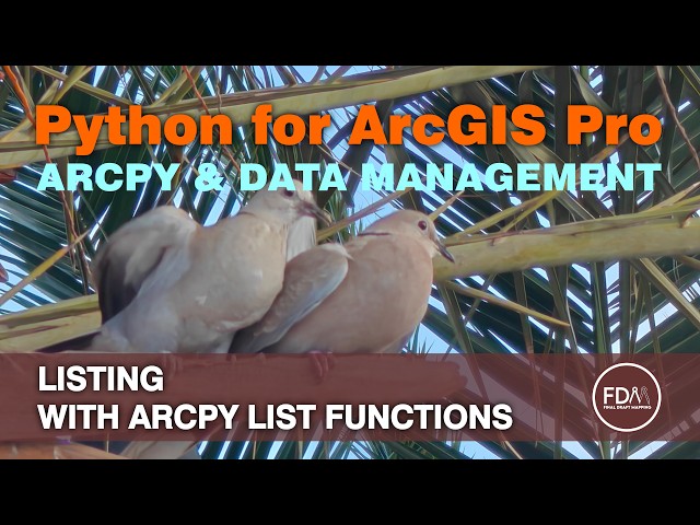 ArcPy List Functions | Guide & Reference | Python for ArcGIS Pro