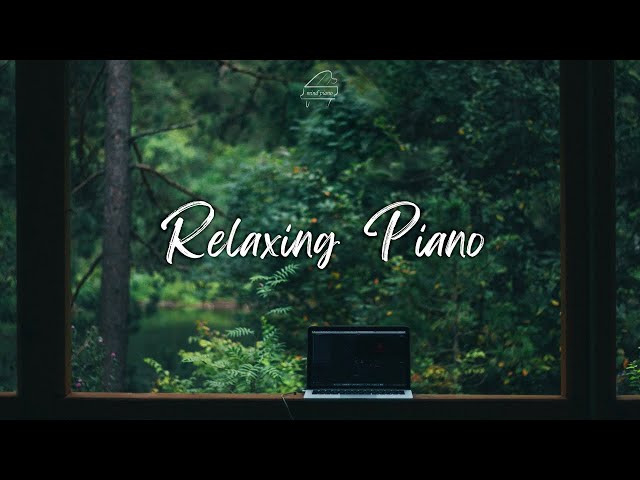 [Playlist]숲 공기🌿가득 마시며 일하기 |업무음악,공부음악,작업음악,집중할때듣는음악,독서음악 |