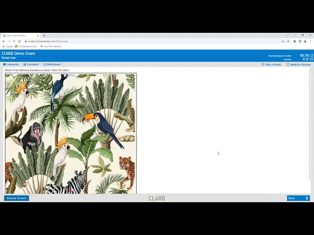 CLARB's Demo Exam Tutorial