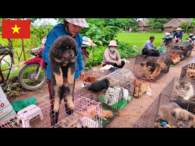 Vietnam Village Market 🇻🇳 The Real Morning Life: What Local Culture Actually Looks Like