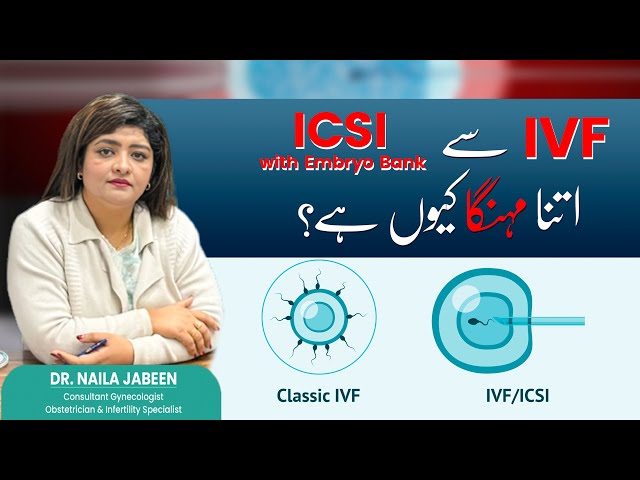 ICSI vs  IVF Why is ICSI More Expensive  Explained Simply