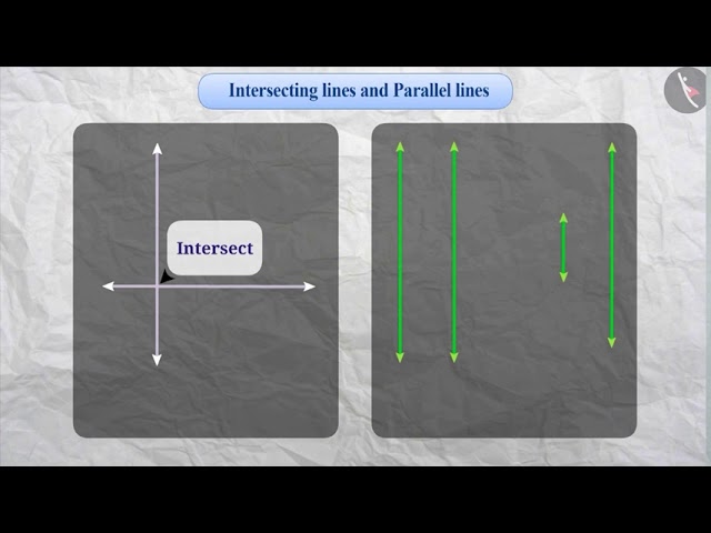 Intersecting and Parallel Lines | Part 1/1 | English | Class 7