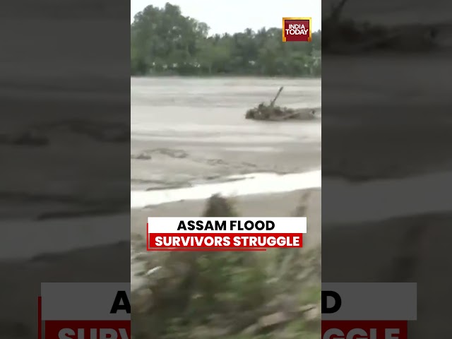 Assam Flood Survivors Struggle As Families Left Homeless, Forced Into Relief Shelters #assam