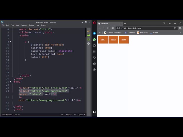 Basic Attribute Selector - CSS Selectors