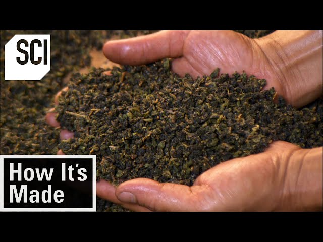 How It's Made: Tea