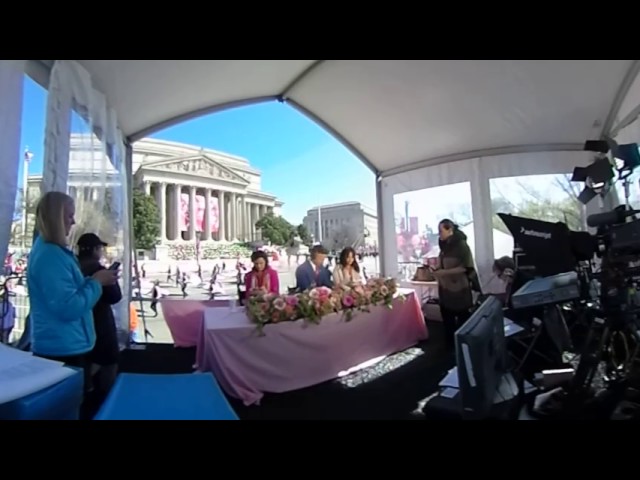 Cherry Blossom Festival 2017 (3)