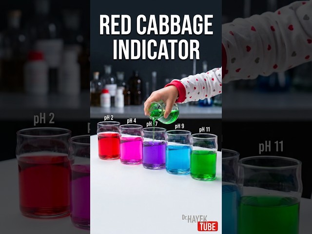 Red Cabbage Indicator Color Change Experiment! 🧪✨ #shorts  #chemistry #science #ytshorts #experiment