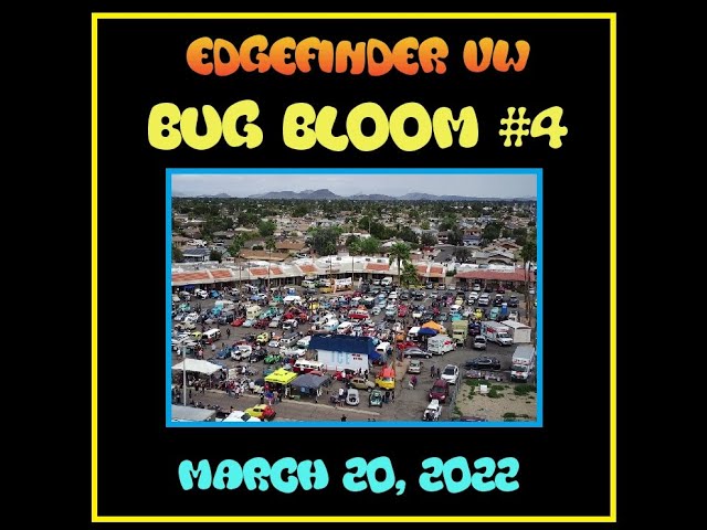 Edgefinder VW "Bug Bloom #4" - 03/20/22