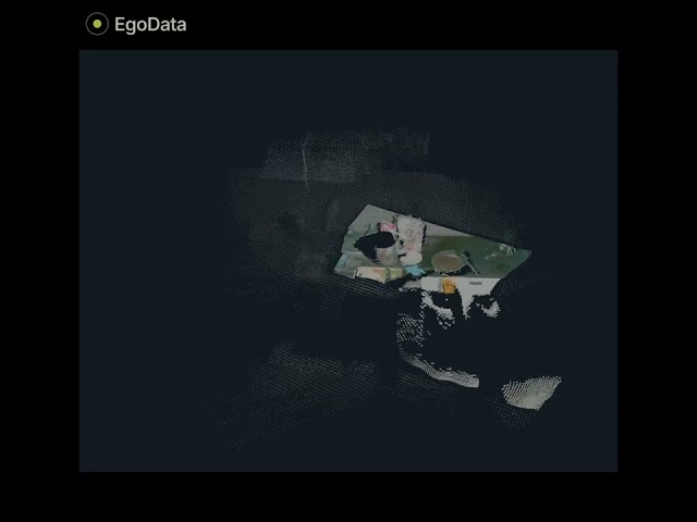 EgoData Demo