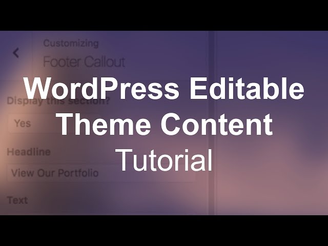 WordPress Custom Editable Theme Content (Image & Text) Tutorial