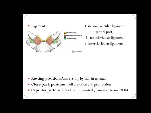 Shoulder complex by Dr Kirti Chhabra| Physiotherapy| RPIIMS