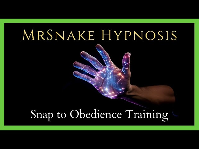 Snap to Obedience Training