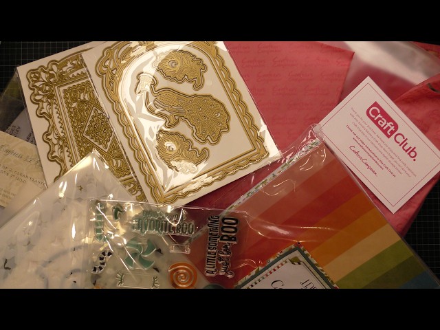 HSN August 11 Craft Day Haul! A Little bit of Everything!