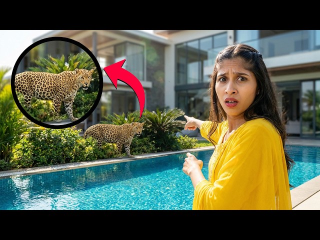 Our Trip Turned Into a Nightmare 😨 | Leopard Entered Our Place!