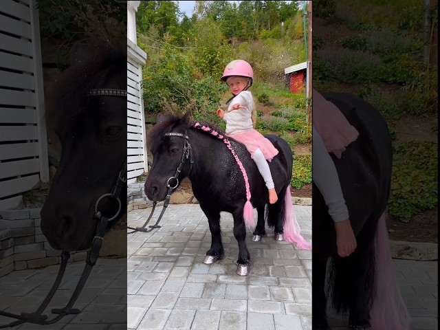 This is plant-based ECO friendly glitter🩷✨ #shortsvideo #horse #pony #glitter