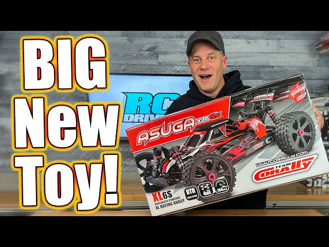 Freakin' BIG RC Buggy! Team Corally Asuga XLR