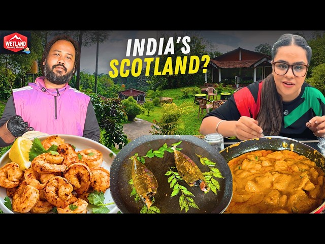 Why Coorg is called the Scotland of India | Best Pet-Friendly Homestay and Local Food
