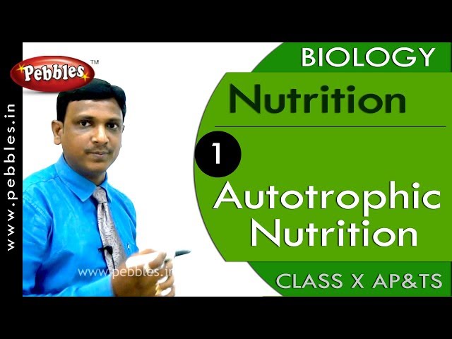 Autotrophic Nutrition:  Nutrition | Biology | Science |  Class 10