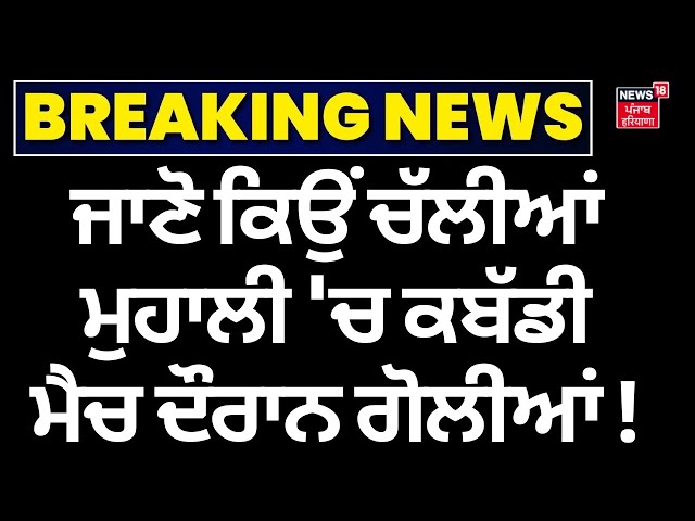 Live| Sohana Kabaddi Match Firing |ਜਾਣੋ ਕਿਉਂ ਚੱਲੀਆਂ ਮੁਹਾਲੀ 'ਚ ਕਬੱਡੀ ਮੈਚ ਦੌਰਾਨ ਗੋਲੀਆਂ! Rana Balachaur