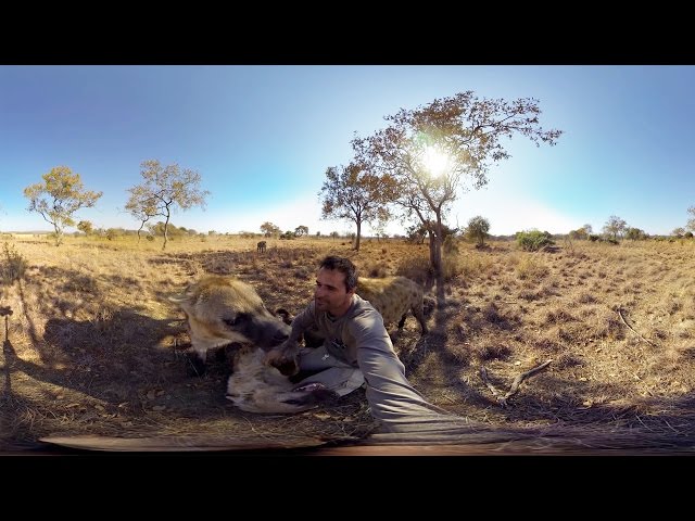 GoPro VR: Hyenas Wrestling With Kevin Richardson