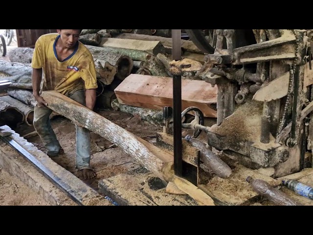 IMPRESSIVE Sawmill Techniques! Transforming Raw Timber into Valuable Planks