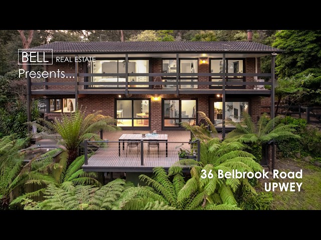 36 Belbrook Road, Upwey - Mid-Century Soul Reimagined on an Acre Plus