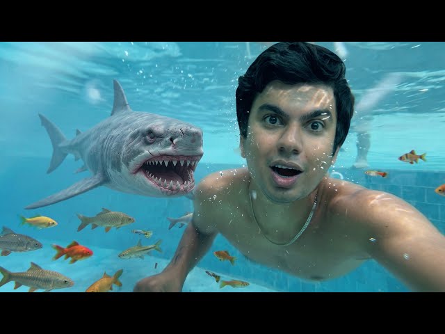 THAILAND Ka POOL MEIN SHARK DAKH Li 🐟