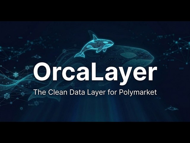 OrcaLayer: Polymarket Whale Tracking and Smart Money Analytics