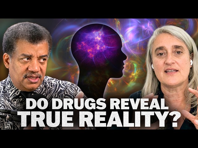 Unlocking the Brain’s Potential, with Gül Dölen