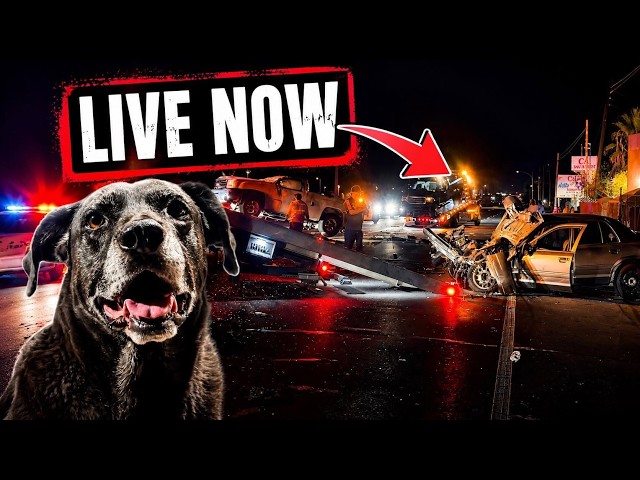 🔴LIVE - BAKERSFIELD 911 - 08/20