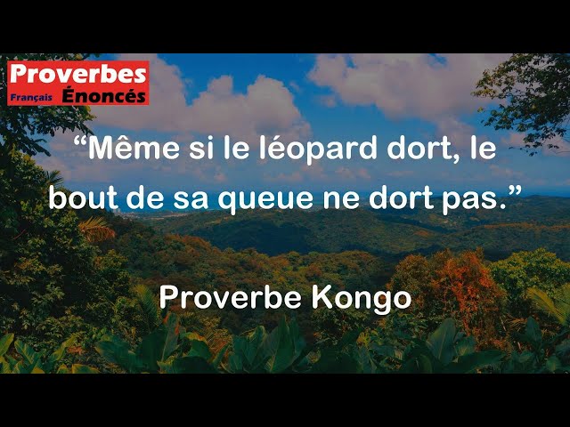 Même si le léopard dort, le bout de sa queue ne dort pas. - Proverbe Kongo