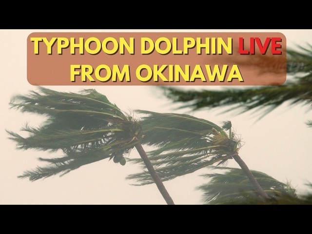 LIVE Typhoon Dolphin Hitting Okinawa Japan - 台風13号ライブ＠沖縄