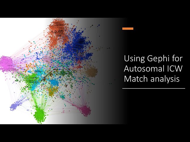 Autosomal ICW Match Analysis using the Gephi tool