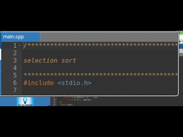 codifica C selectionsort