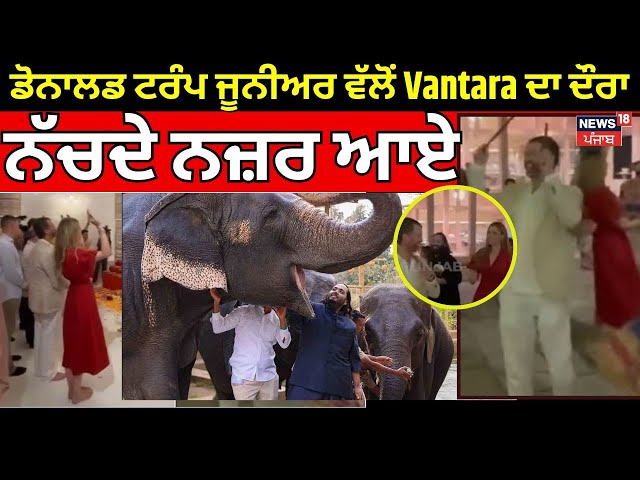 US President's son  TrumpJr visits Vantara|ਡੋਨਾਲਡ ਟਰੰਪ ਜੂਨੀਅਰ ਵੱਲੋਂVantaraਦਾ ਦੌਰਾ,ਨੱਚਦੇ ਨਜ਼ਰ ਆਏ| N18G