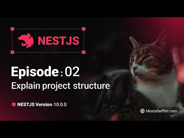 02 | Explain project structure