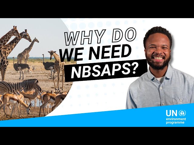 How National Biodiversity Strategies and Action Plans - NBSAPs - can save our planet
