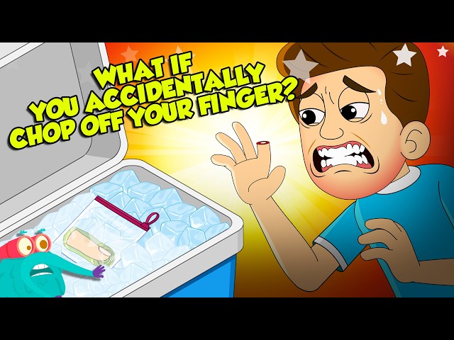 First Aid for Finger Cuts | What Happens If You Lose a Finger? | Dr. Binocs Show
